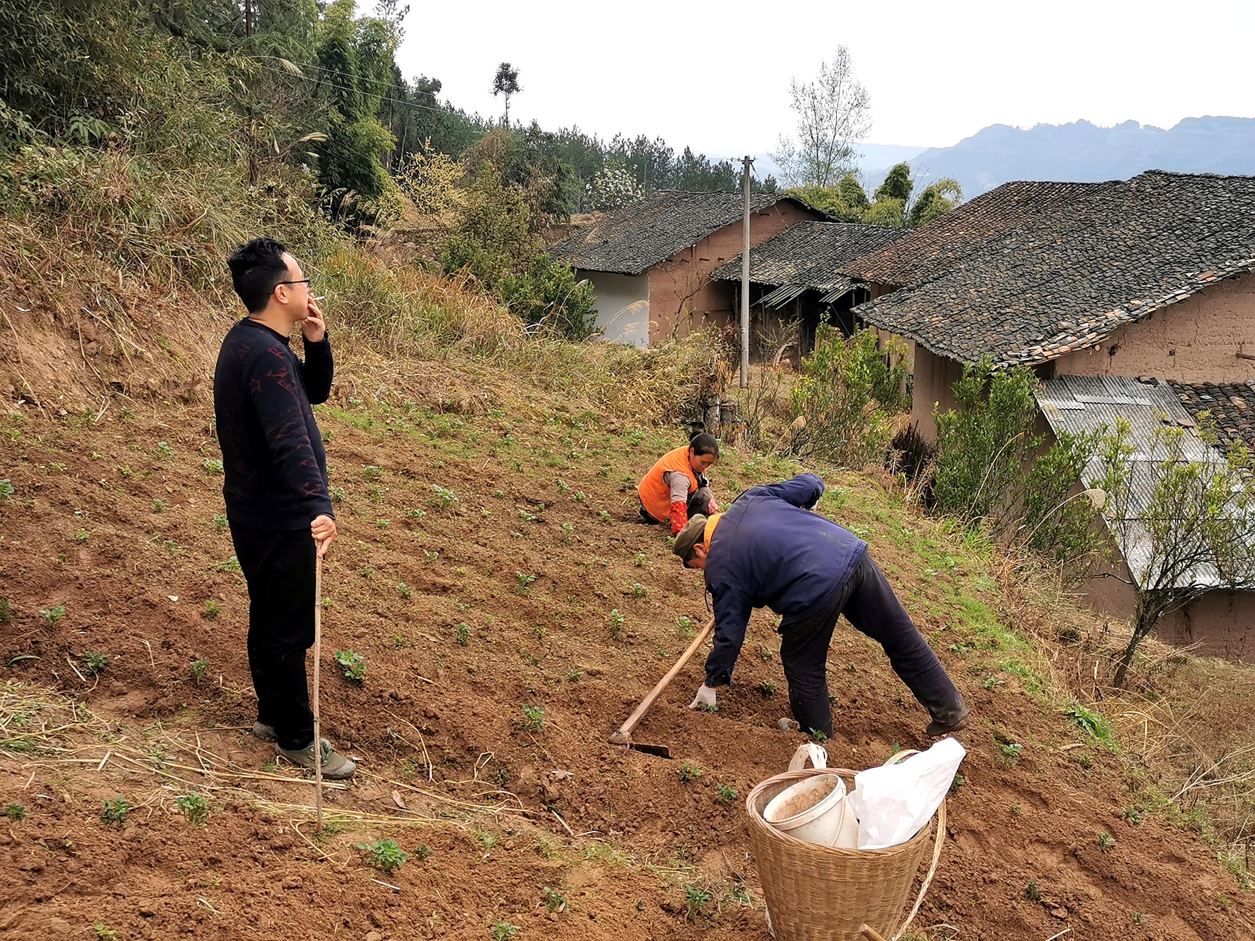 陈益峰师傅在地边,向挖地的农民,询问刘家的历史