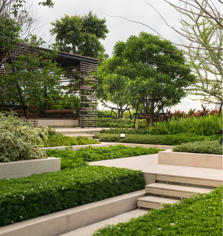 从平面角度来看,植物可以用来营造开敞,封闭以及半封闭空间,从立面