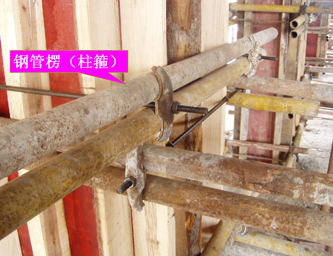 钢管楞(柱箍).png