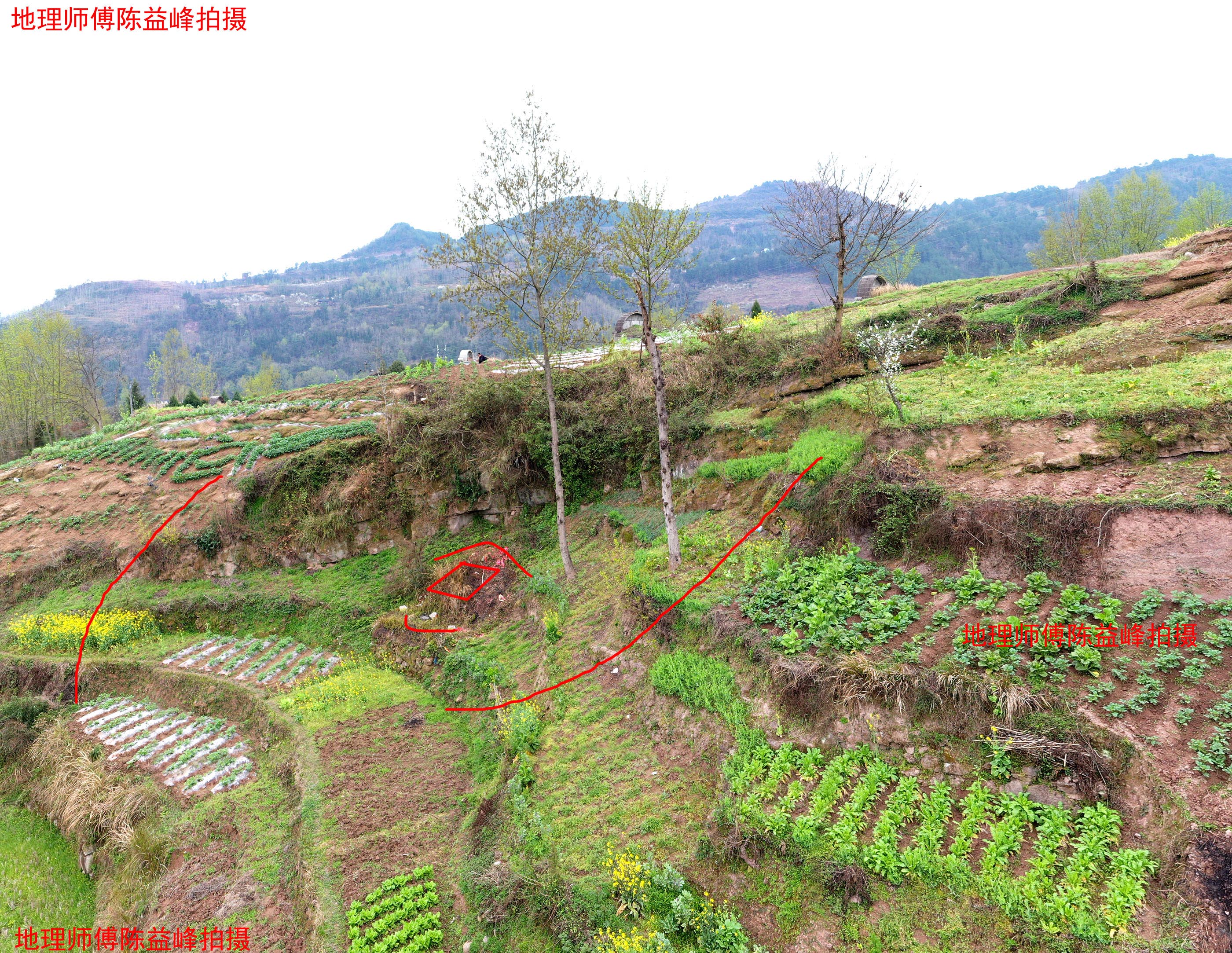 [资料]陈益峰:木星葬眼,刘氏后人贵为正五品