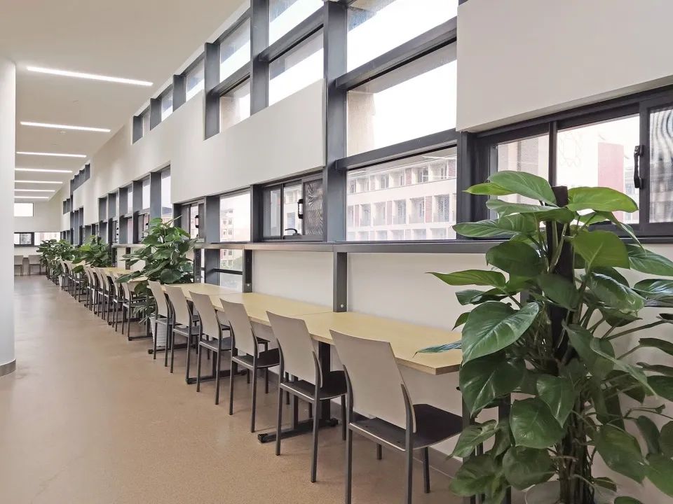 ▼临窗阅览桌灯具与幕墙结合 马元/杰美摄影