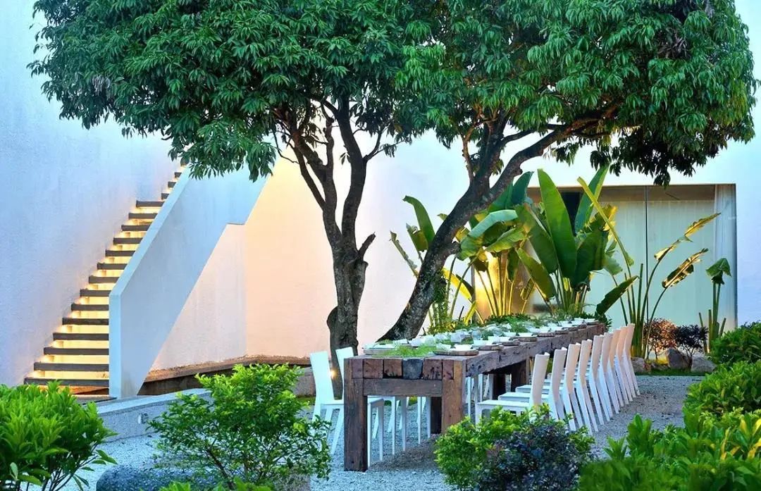 [分享]一颗树,点亮整个庭院空间,美呆了