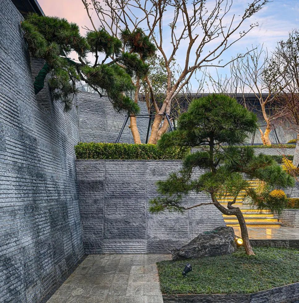 一颗树,点亮整个庭院空间,美呆了~-景观设计-筑龙园林景观论坛