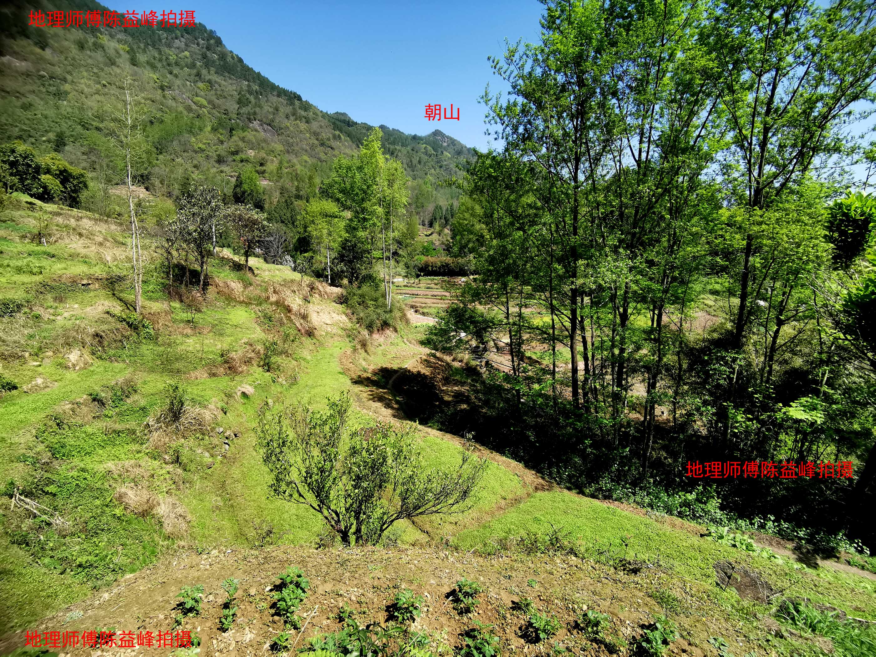 陈益峰:鼓环穴,陈氏后人大发科甲-建筑设计-建筑风水