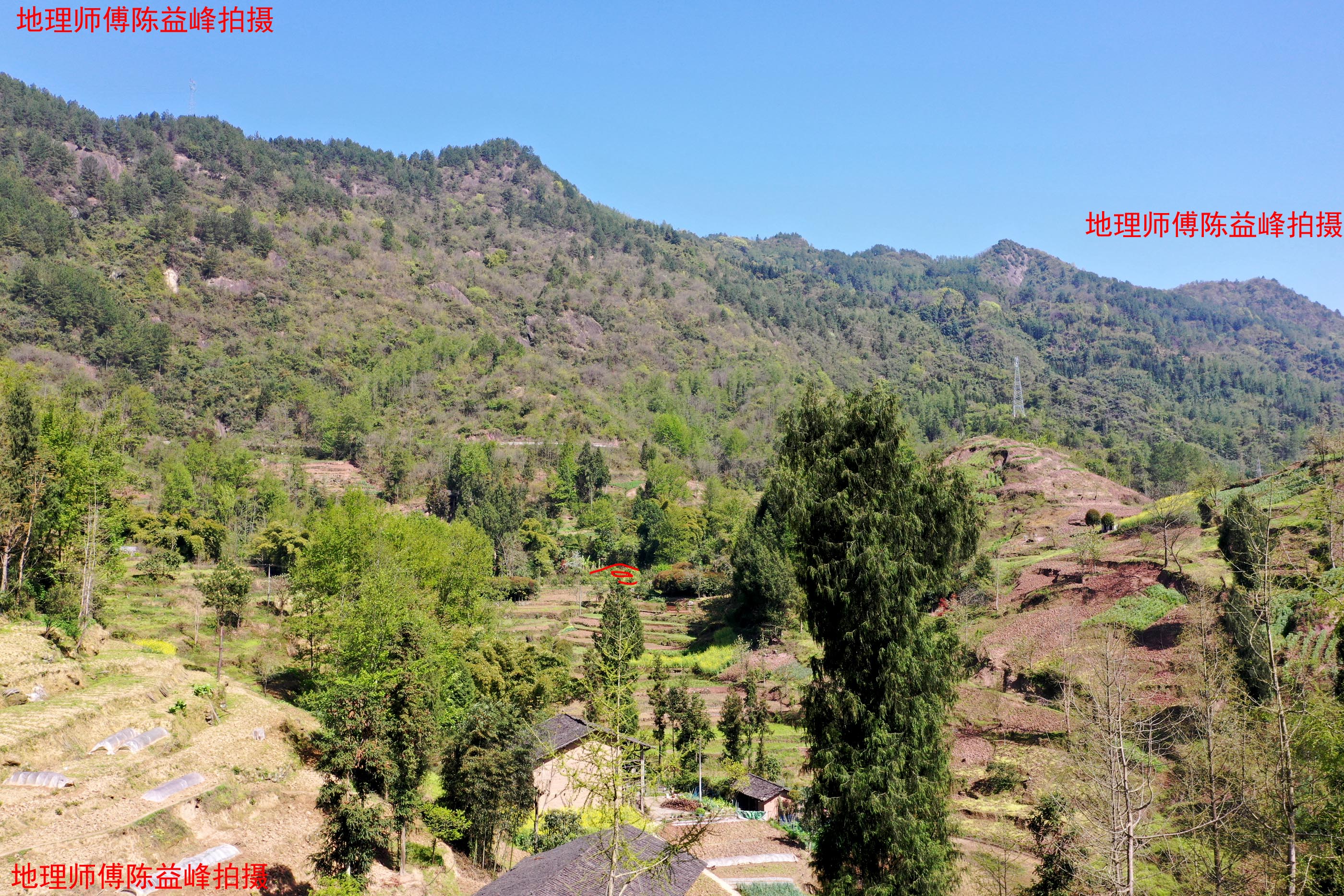 陈益峰:五马归槽,陈氏一门九名官,还有十-建筑风水-筑龙建筑设计论坛