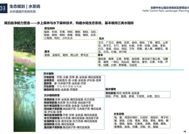 中央公园总体规划及山水林田景观方案设计 (11).jpg