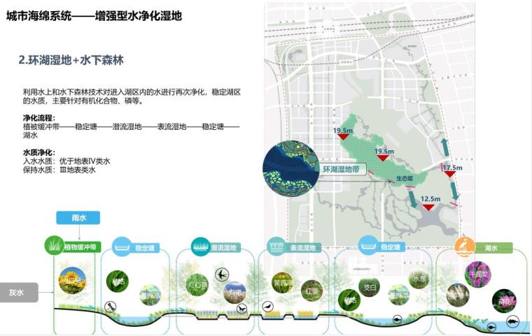 中央公园总体规划及山水林田景观方案设计 (10).jpg