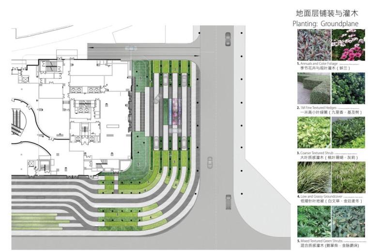 地面层铺装与灌木.jpg