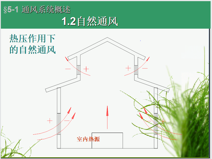 防风的种类图片