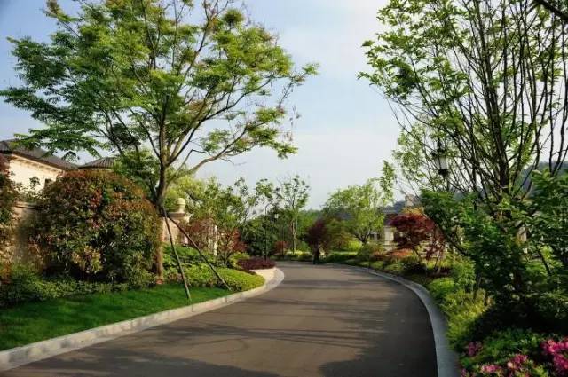 [设计师必备手册]道路绿化设计规范-景观施工-筑龙园林景观论坛