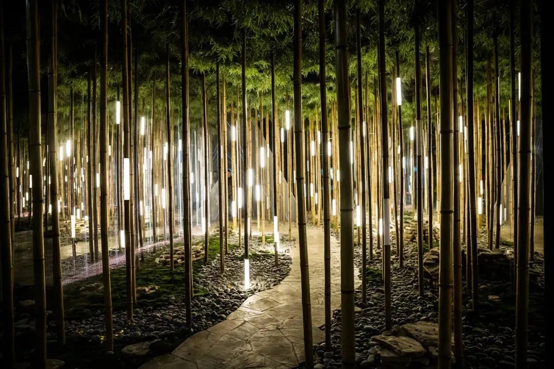 "竹君子"的万种风情,漂亮!-景观设计-筑龙园林景观论坛