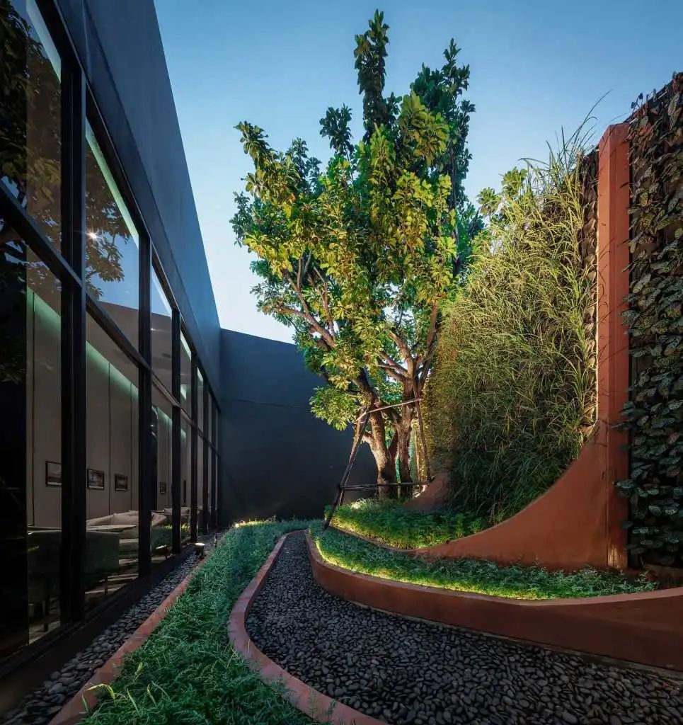 树池这样设计才有新意-景观设计-筑龙园林景观论坛