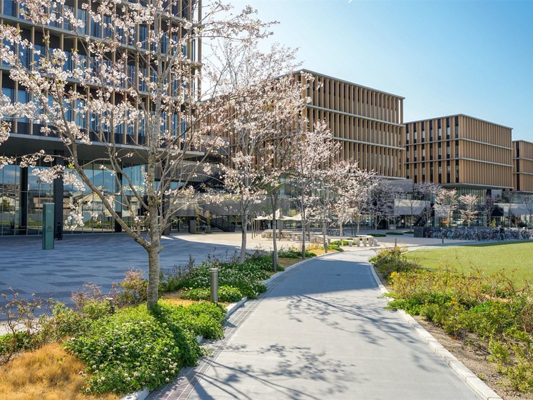 大学校园建设施工组织资料下载-日本常叶大学校园