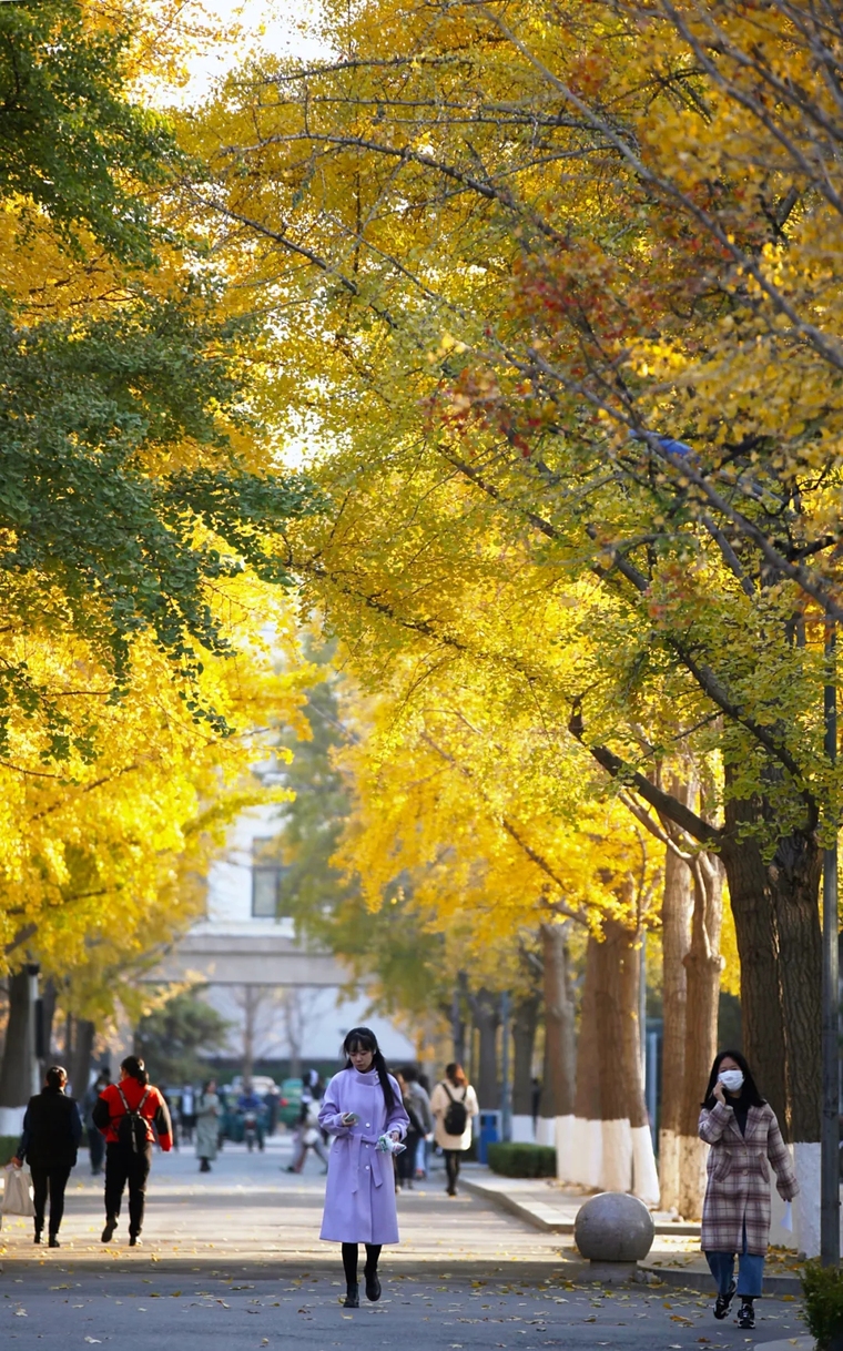 北京化工大學景觀實景圖4.jpg