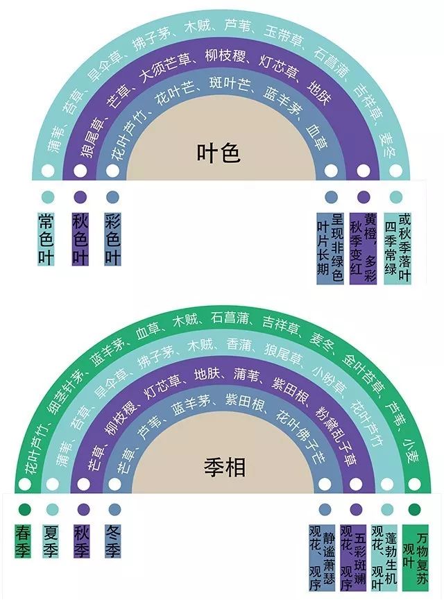 [分享]观赏草,真的是未来景观的一个探索