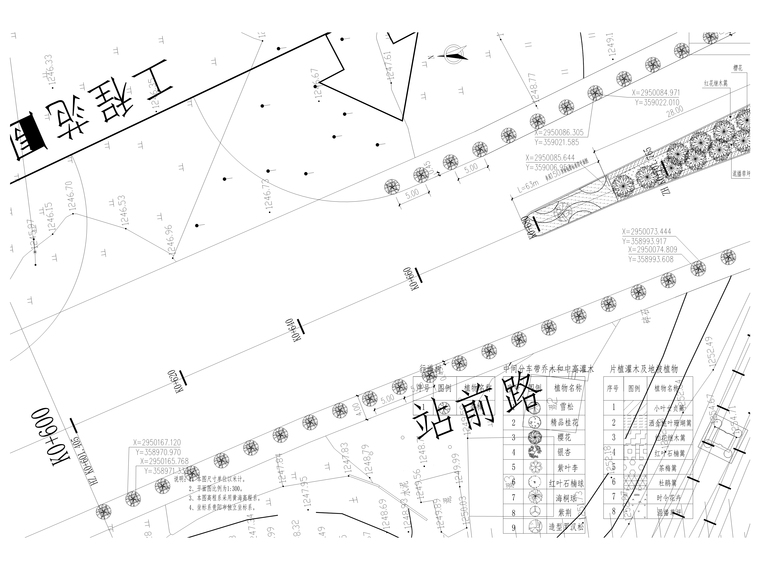 城市干道景观绿化方案资料下载-[贵州]城市次干道景观绿化图纸含招标文件