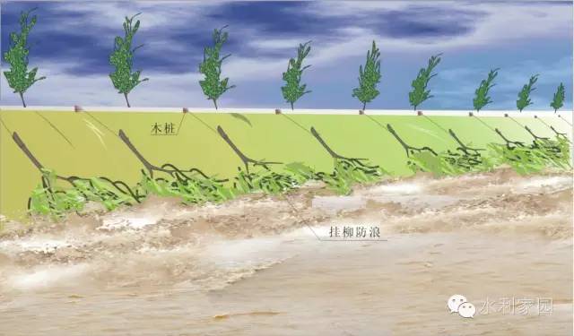 堤防抢险技术专业必备