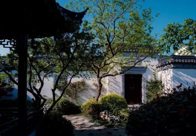 这种美,全世界都为之倾倒_10 这种美,全世界都为之倾倒_10