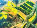 [贵州]高标准农田图纸地形图2020
