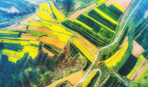 高标准农田水利施工方案资料下载-[贵州]高标准农田图纸地形图2020