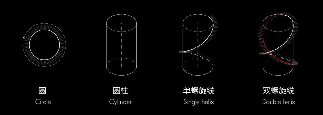 圆—圆柱面—双螺旋线