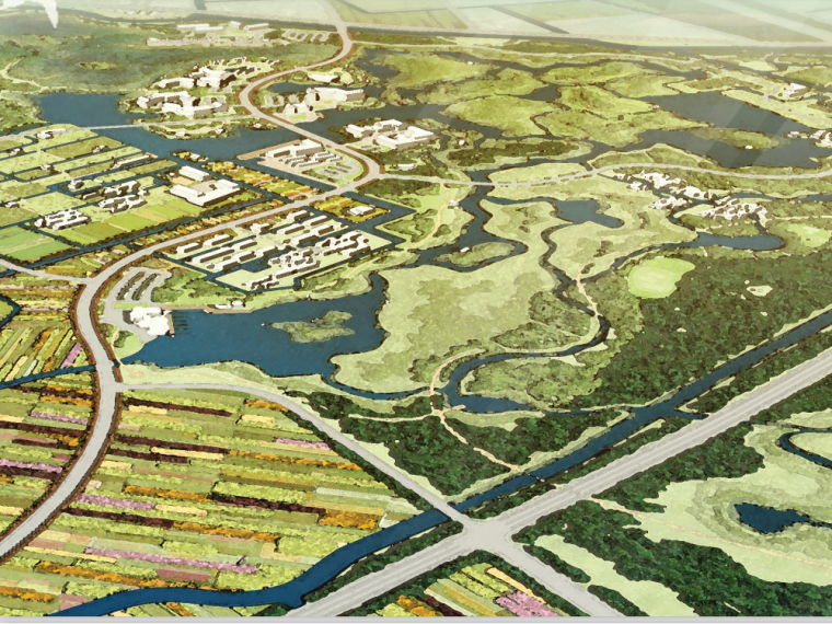 [上海]生态湿地田园主题总体策划方案