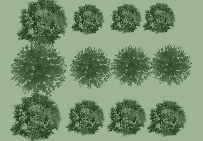 实用景观植物类笔刷合集-树木类笔刷psd