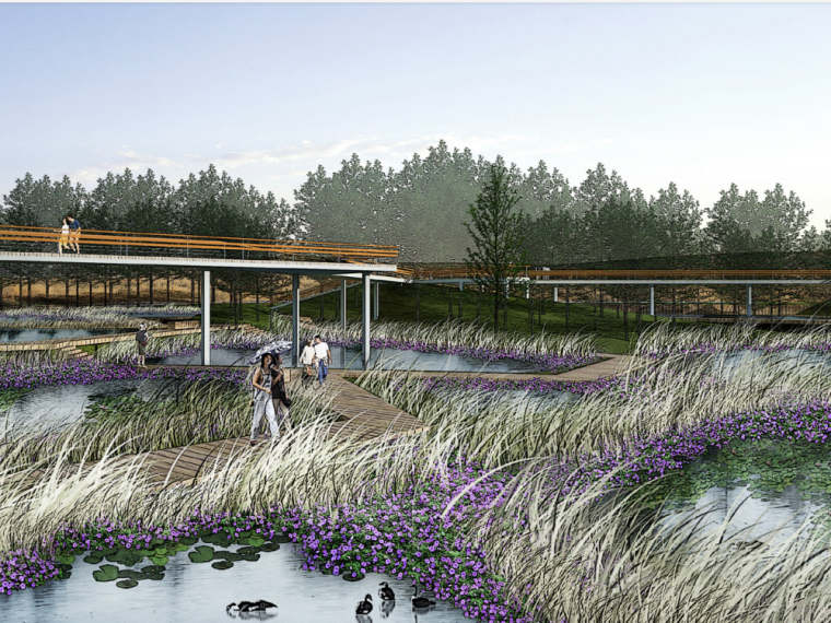 湿地公园专项施工方案资料下载-[黑龙江]原生态湿地公园景观方案设计 