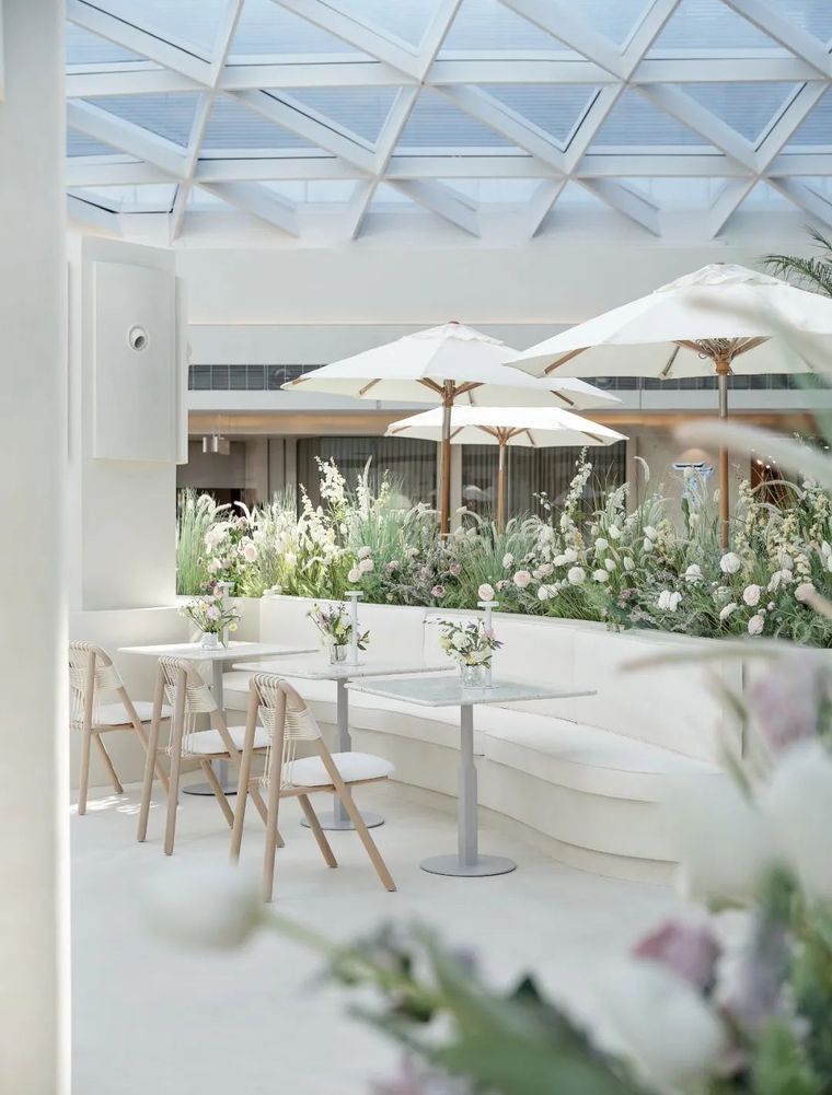 深圳tomacado花厨餐厅