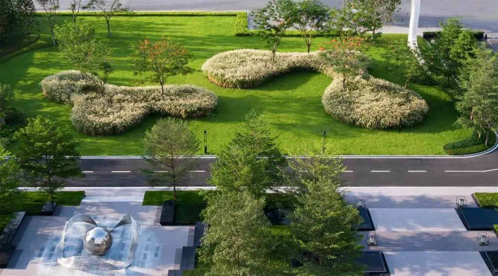 用心的植物搭配,超级美!-景观动态-筑龙园林景观论坛