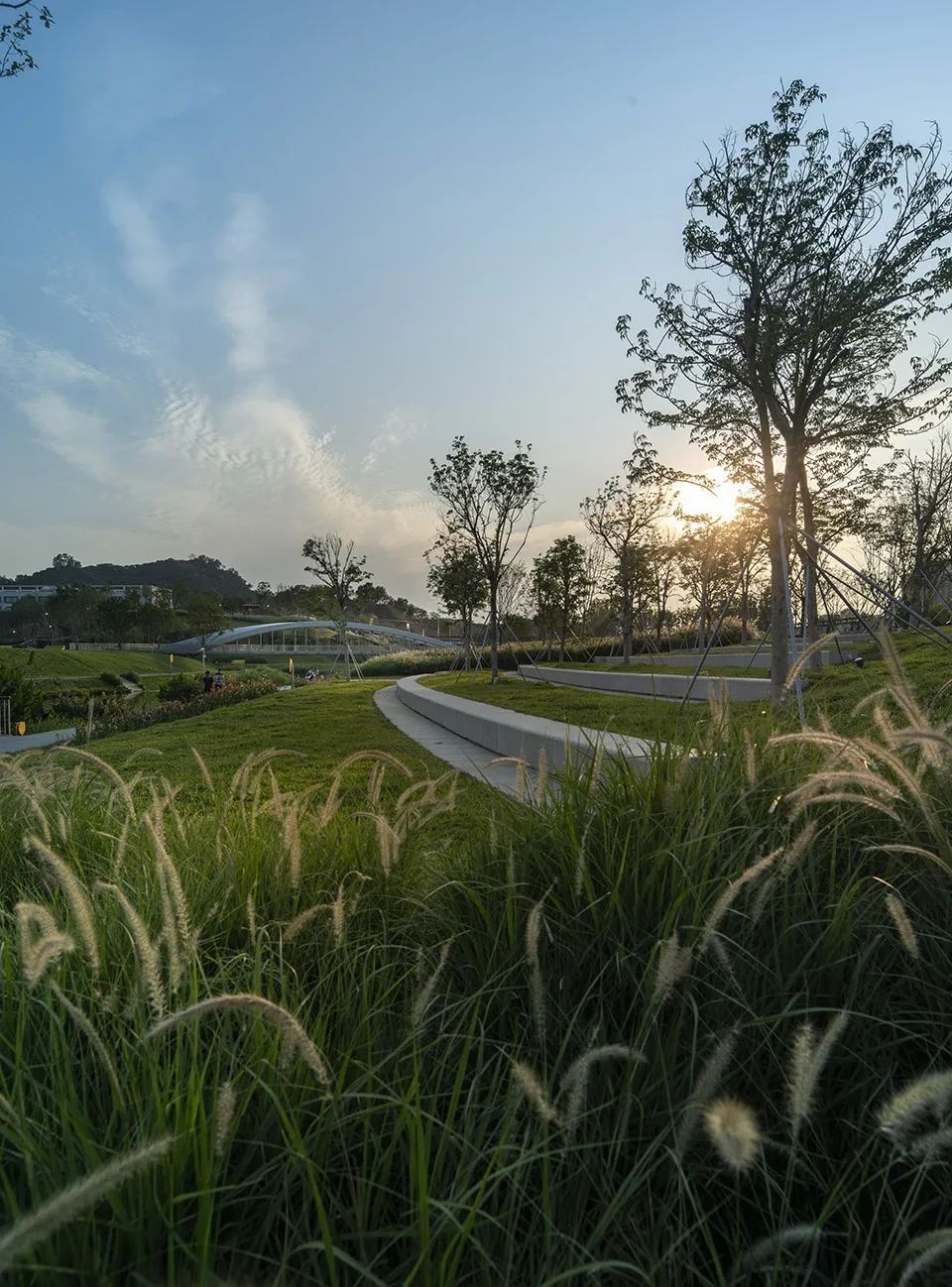 ▼黄昏中的河岸  奥雅设计