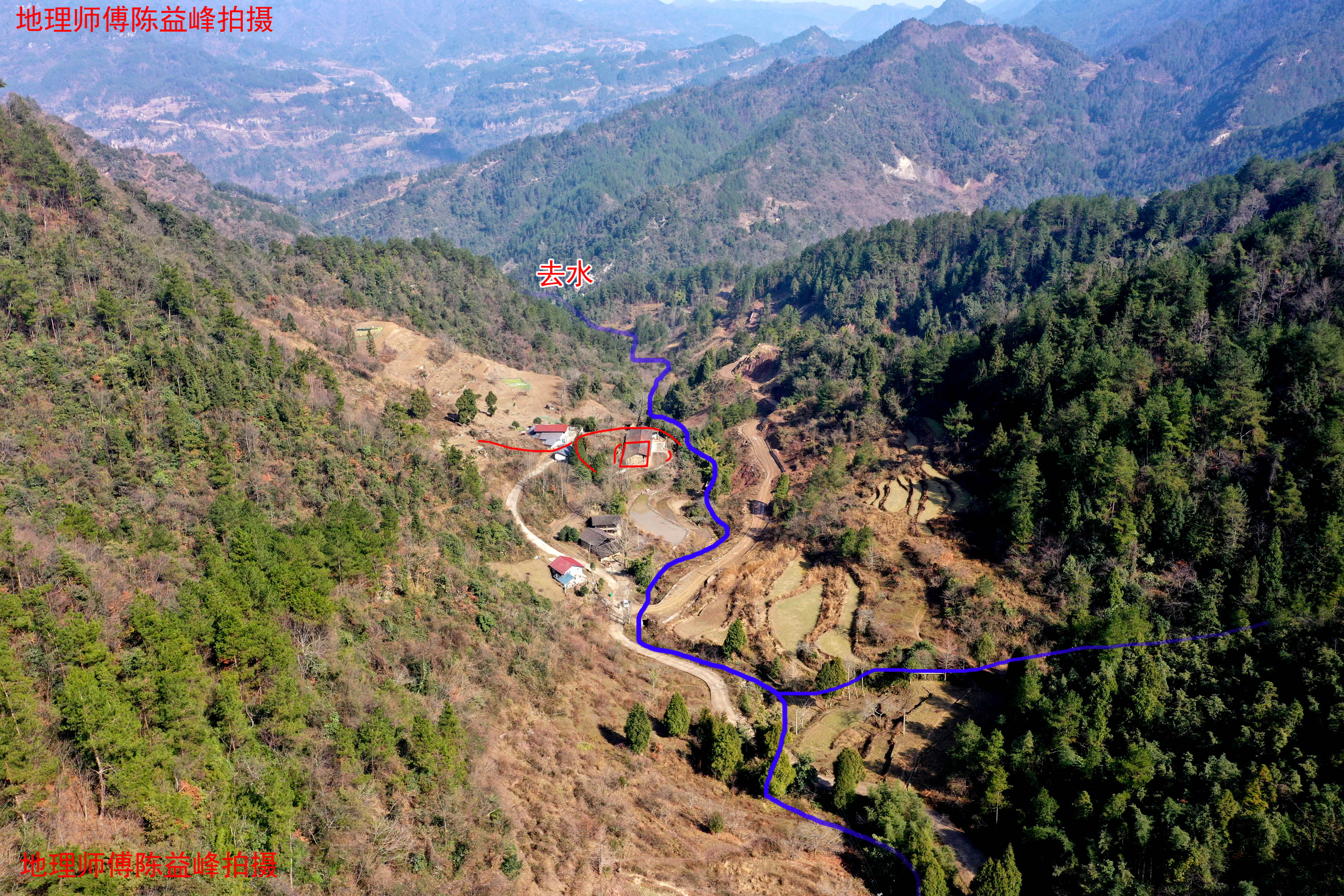 陈益峰:冲天凤凰,杨氏富贵只是昙花一现-建筑风水-筑龙建筑设计论坛