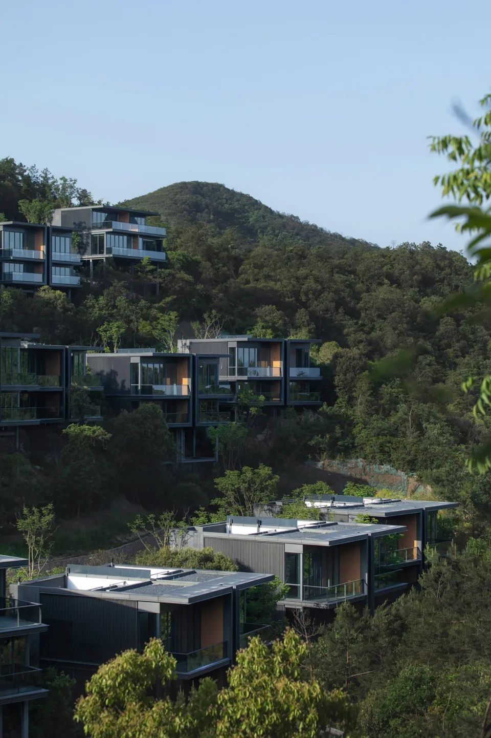 [分享]莫干山郡安里"沁山"山地villa营造纪实