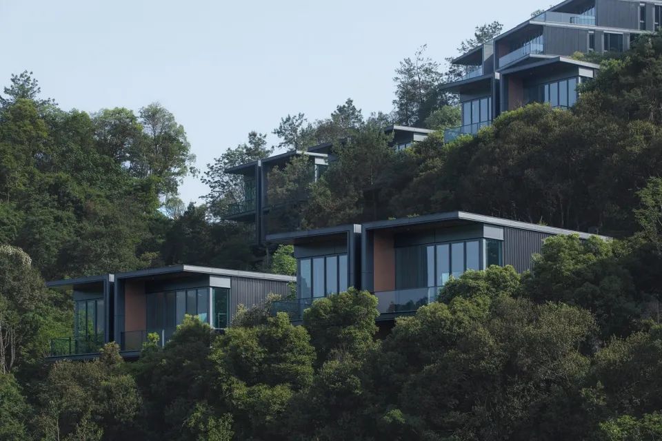 [分享]莫干山郡安里"沁山"山地villa营造纪实