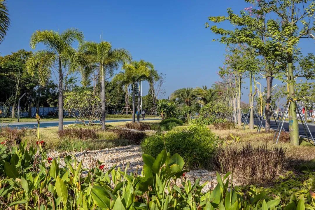 [分享]滨水景观设计,美出新高度!