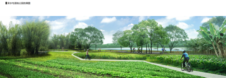 某风景区环江滨水大道景观绿化工程方案设计-image.png