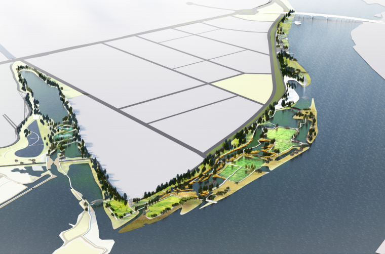 湿地公园概念方案设计资料下载-[广东]自然生态-中央湿地公园景观方案设计