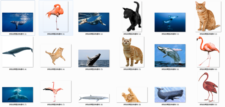 新中式效果图素材资料下载-拼贴效果图动物素材