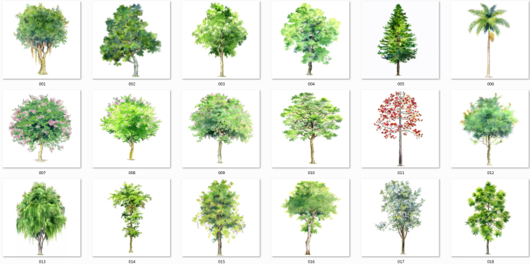 景观手绘街景素材资料下载-71个拼贴水彩手绘树素材