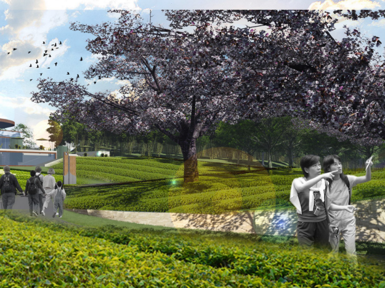 综合体停车场设计资料下载-滨湖海生态休闲农业综合体总体规划设计方案