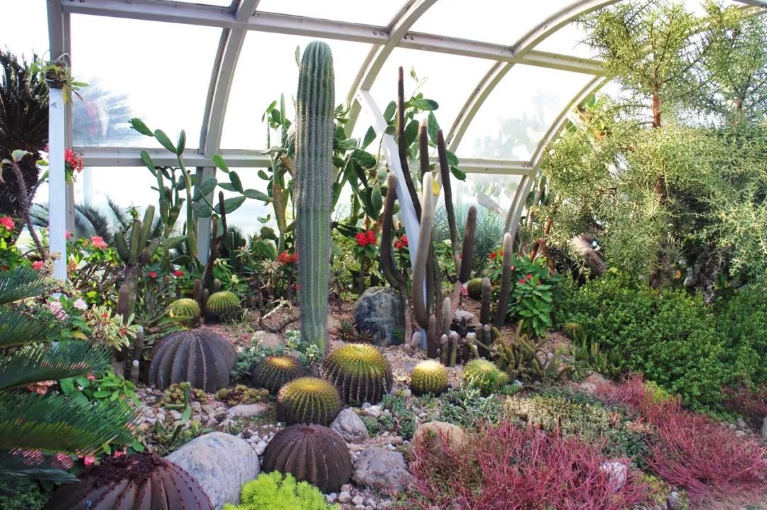 [分享]机场景观,也太美了吧!