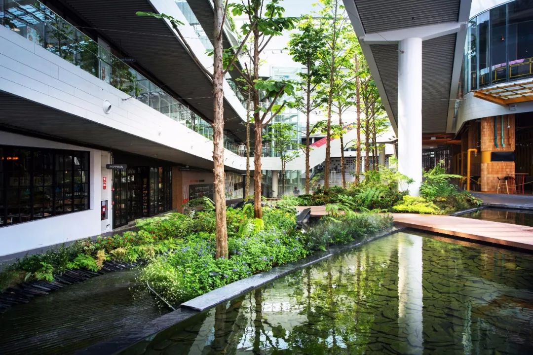 [分享]室内也可以做景观,厉害了!