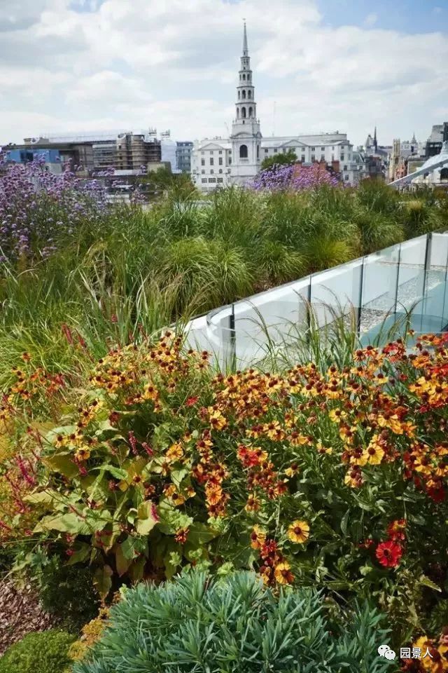 花境设计手法 · 空间与氛围的植物哲学-景观设计-筑龙园林景观论坛