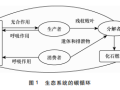 生态系统循环中水利行业的碳达峰、碳中和