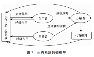 循环水处理药剂资料下载-生态系统循环中水利行业的碳达峰、碳中和