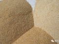 “沙”与“砂”有何区别？