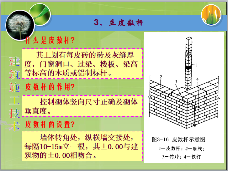 皮数杆是什么图片