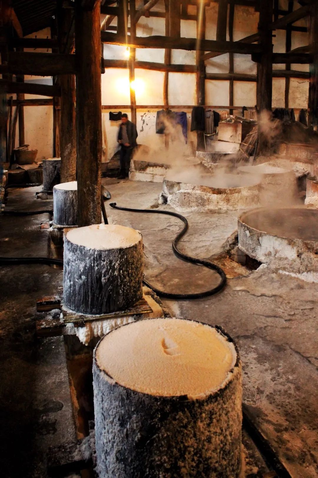 [分享]世界最好的恐龙博物馆 千年古盐都,自贡这