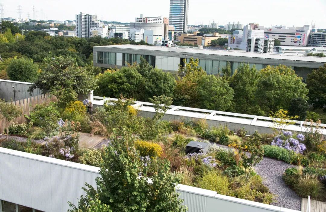 [分享]屋顶花园,意想不到的变身!