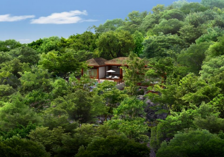 现代特色森林温泉区养生休闲度假区规划设计